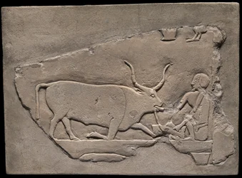 Fragment de mur d