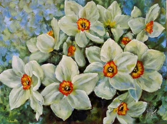 Les jonquilles en fleurs