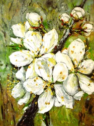 Fleurs blanches du printemps