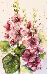 Des roses trémières d