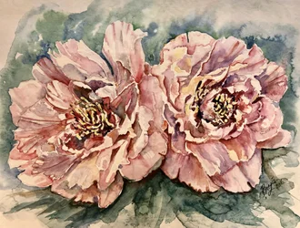 Des pivoines d
