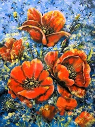 Des coquelicots d
