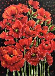 Des coquelicots d