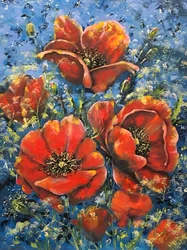 Des coquelicots d