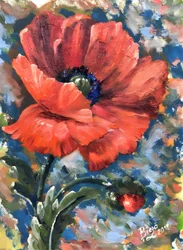 Coquelicot rouge vif