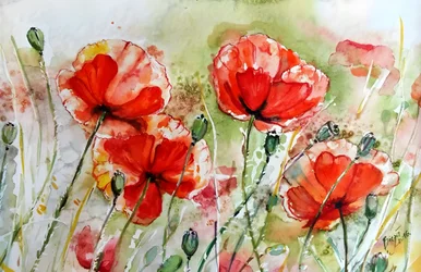 Des coquelicots aux couleurs vives peints à l