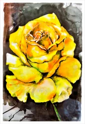 Rose jaune éclatante
