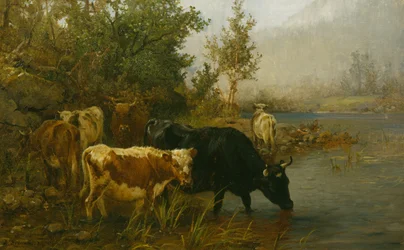 Vaches près de l