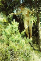 Esprit des bois