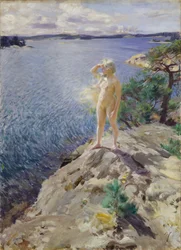Dans les îlots rocheux