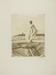 Le Cygne