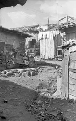 CROTONE - SCOOTER TOUT-TERRAIN