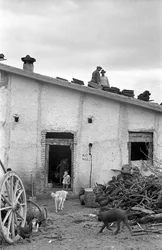 CAMPAGNE DE CROTONE - UN TOIT AU-DESSUS DE LA TÊTE
