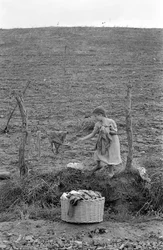 CAMPAGNE DE CROTONE - LE PETIT BLANCHISSEUR,
