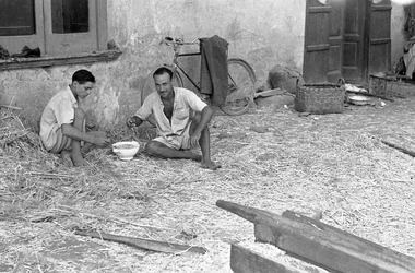 TRANSFORMATION DU CHANVRE, SOUPE PARTAGÉE