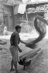 TRAITEMENT DU CHANVRE, ÉLIMINATION DES SCORIES