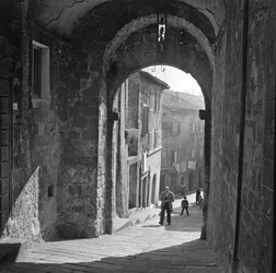 Vue d