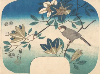 Clématite et oiseau, 1852