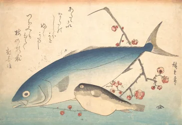 Fugu et poisson Inada, de la série Uozukushi Chaque variété de poisson, 1840s