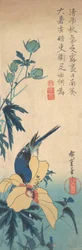 Hibiscus et oiseau bleu