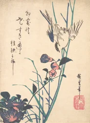 Grand-bec à grandes fleurs et moineau, vers 1833