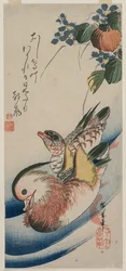 Canards mandarins et plantes à fleurs, début ou milieu des années 1830