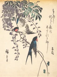 Hirondelle et glycine, milieu des années 1840