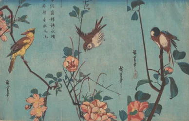 Mésange et camélias à droite, moineau et roses sauvages au centre, et oriole à nuque noire..., vers 1833.