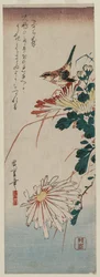 Fauvette et chrysanthèmes, milieu des années 1830