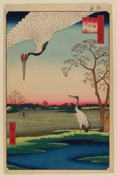 Minowa, Kanasugi, Mikawashima