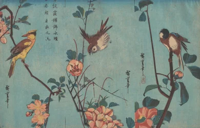Mésange et camélias, moineau et roses sauvages et loriot à nuque noire et fleurs de cerisier, vers 1833
