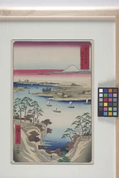 Colline Des Oies Sauvages Et La Rivière Tone (K?nodai, Tonegawa)