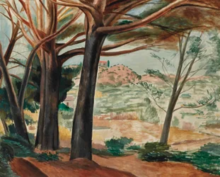 La forêt de Martigues