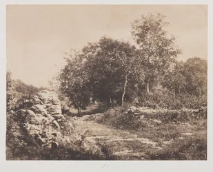 Scène sans titre de Fontainebleau, vers 1853