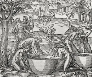 Cap de Frie, femmes préparant de la nourriture, gravure, Amérique du Sud