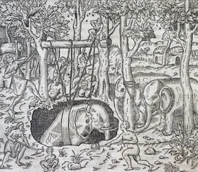 Chasse à l