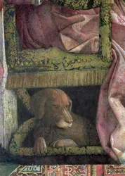 Rubino, le chien préféré de Marchese Ludovico Gonzaga III de Mantoue et de sa famille, de la Camera degli Sposi ou Camera Picta, 1465-74 (détail)