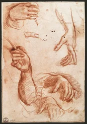 Étude de mains