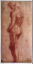 Étude de nu masculin. Dessin à la sanguine par Andrea d
