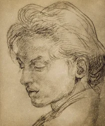 Tête virile de profil
