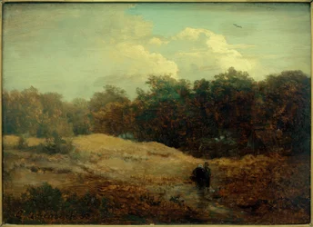 Lisière de forêt