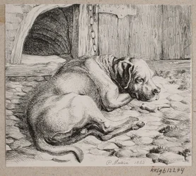 Un chien enchaîné endormi