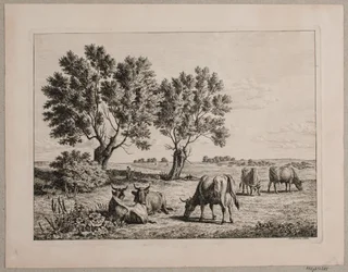 Paysage avec du bétail paissant
