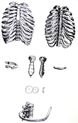 Les Planches du Premier Livre de la De Humani Corporis Fabrica