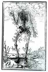 Système vasculaire du corps