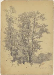Chênes, Wolf Hill, Comté d
