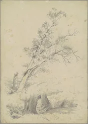 Arbres, Hudson
