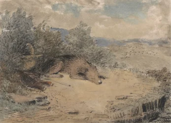 Chien de berger endormi dans un paysage