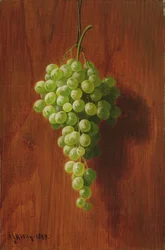 Raisins (verts)