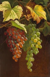 Deux grappes de raisin, s.d. (huile sur toile)